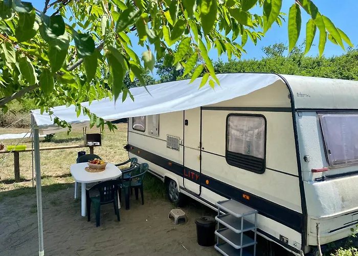 Beachfront Caravans