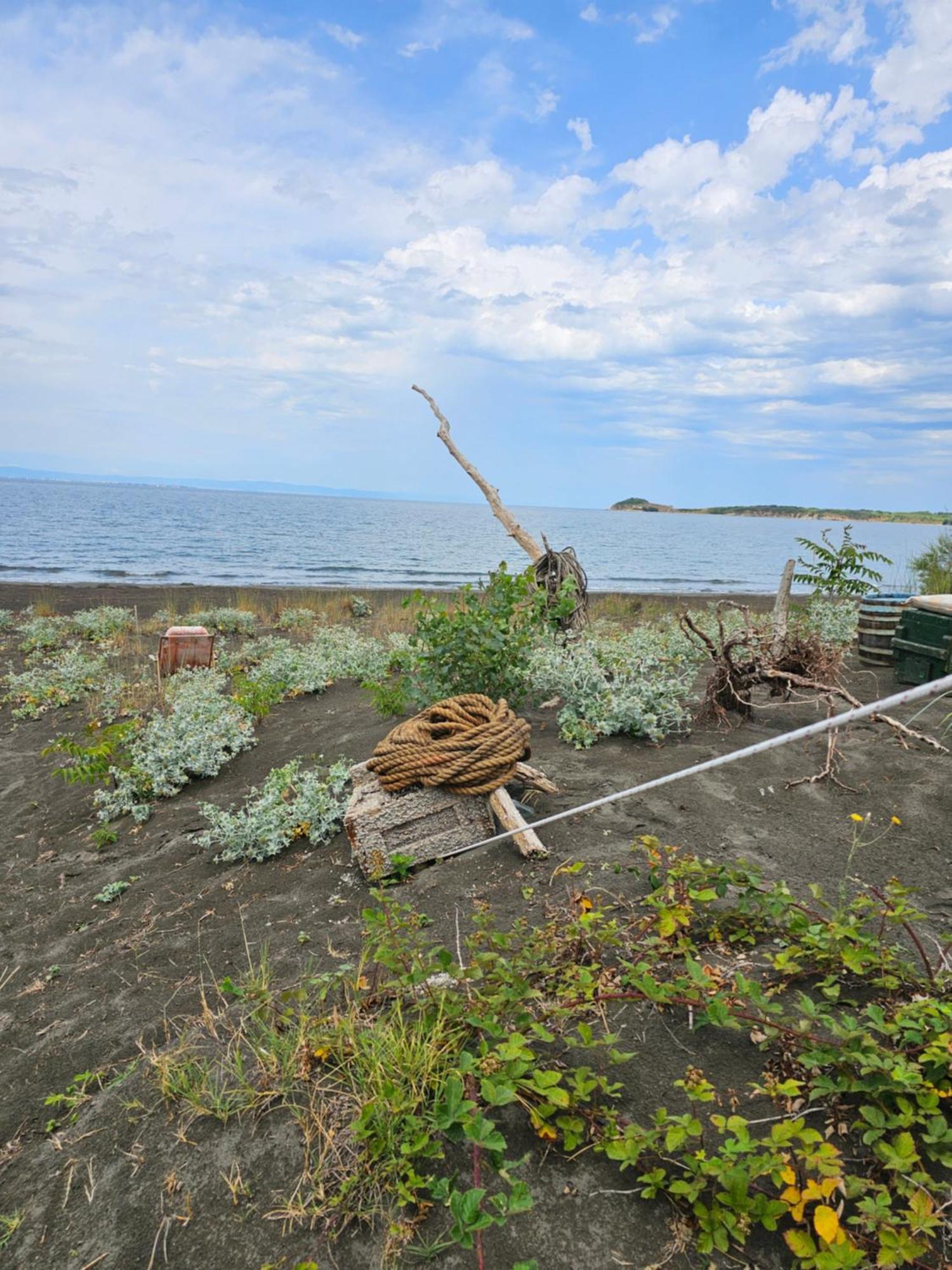 Beachfront Caravans *